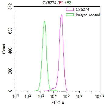 PXN Antibody