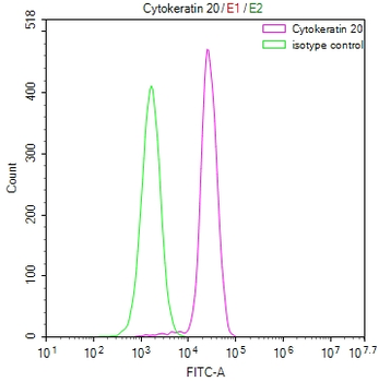 KRT20 Antibody