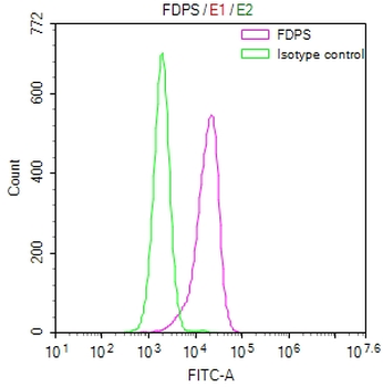 FDPS Antibody