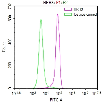 HRH3 Antibody