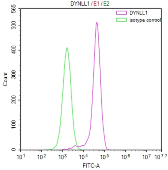DYNLL1 Antibody