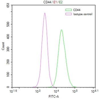 CD44 Antibody