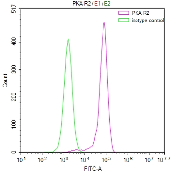 PRKAR2A Antibody