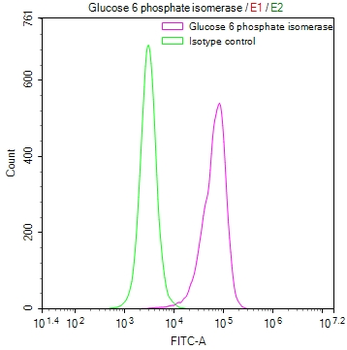 GPI Antibody