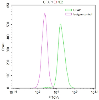 GFAP Antibody