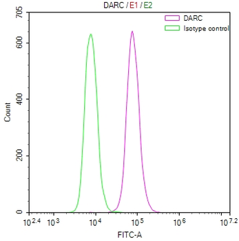 DARC Antibody