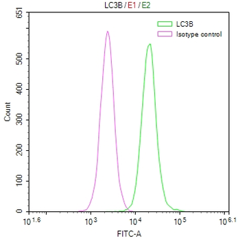 MAP1LC3B Antibody
