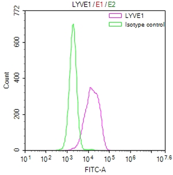 LYVE1 Antibody