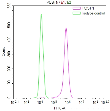 POSTN Antibody