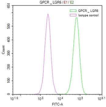 LGR6 Antibody