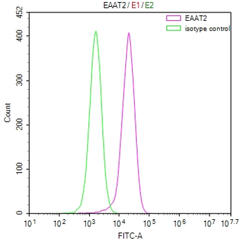 SLC1A2 Antibody