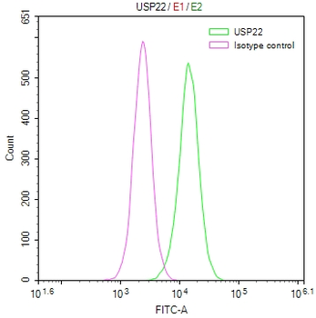 USP22 Antibody