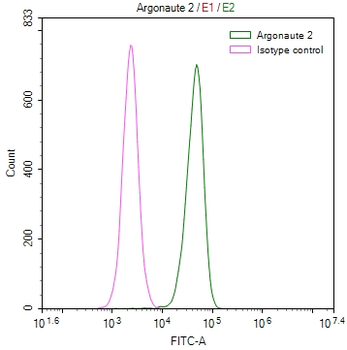 AGO2 Antibody