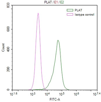 PLAT Antibody