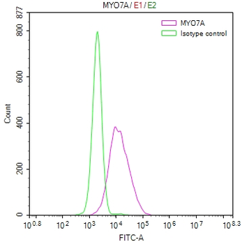 MYO7A Antibody