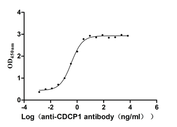 CDCP1 Antibody