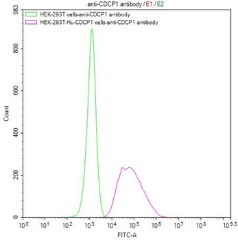 CDCP1 Antibody