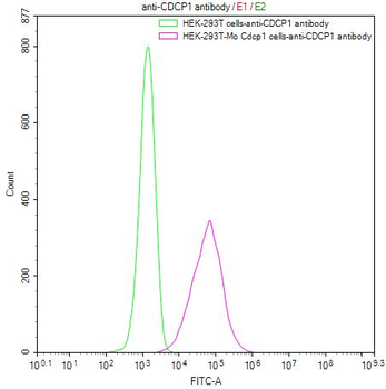 CDCP1 Antibody