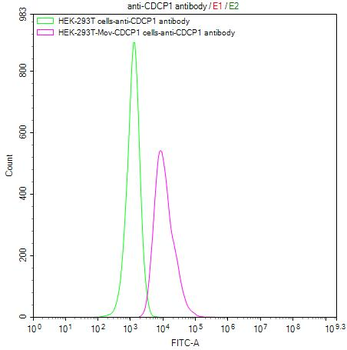 CDCP1 Antibody