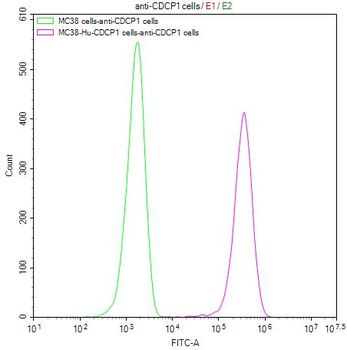 CDCP1 Antibody