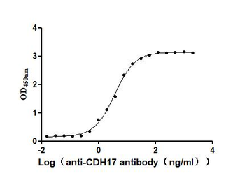CDH17 Antibody