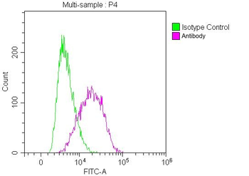 CD147 Antibody