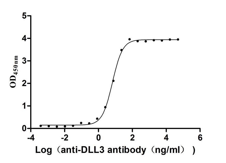 Recombinant Human Delta-like protein 3 (DLL3), partial (Active)