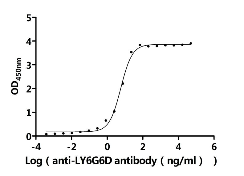 Recombinant Mouse Lymphocyte antigen 6 complex locus protein G6d (Ly6g6d) (Active)