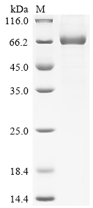 Recombinant Vaccinia virus Soluble interferon gamma receptor OPG193 (OPG193)