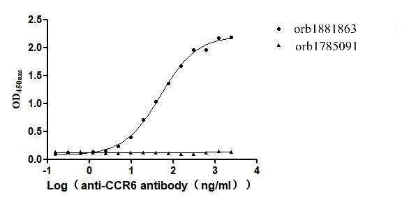 Recombinant Human C-C chemokine receptor type 6 (CCR6)-VLPs (Active)