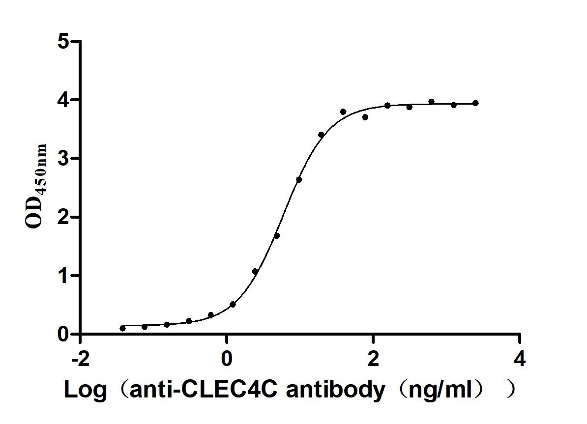 Recombinant Macaca fascicularis C-type lectin domain family 4 member C (CLEC4C), partial (Active)