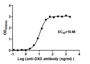 DXD Antibody (HRP)
