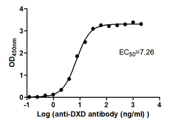 DXD Antibody (HRP)