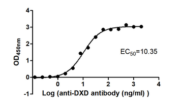 DXD Antibody (HRP)