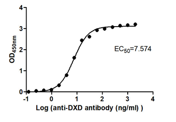 DXD Antibody (HRP)