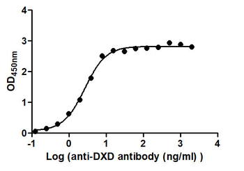 DXD Antibody