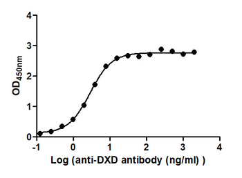 DXD Antibody