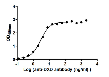 DXD Antibody