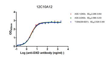 DXD Antibody