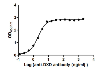DXD Antibody