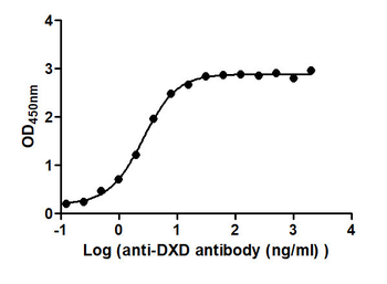 DXD Antibody
