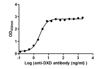 DXD Antibody