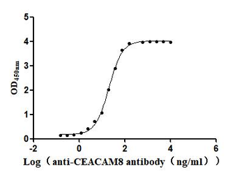 CEACAM8 Antibody
