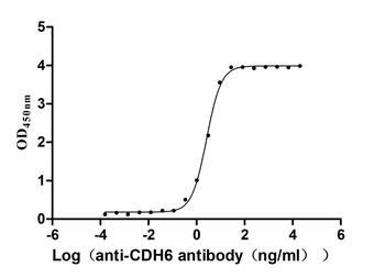 CDH6 Antibody