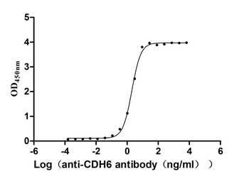 CDH6 Antibody