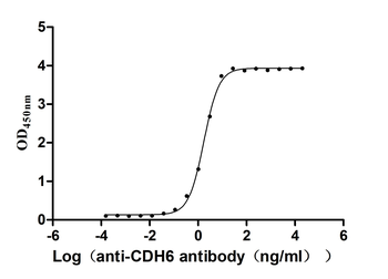 CDH6 Antibody
