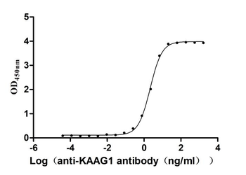 KAAG1 Antibody