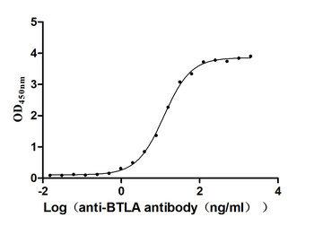 BTLA Antibody