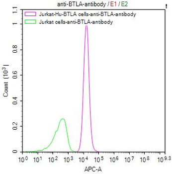 BTLA Antibody