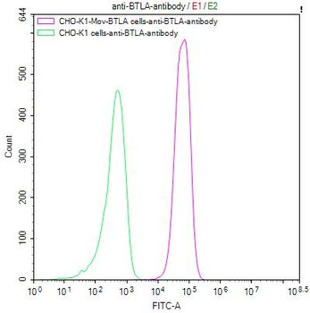 BTLA Antibody